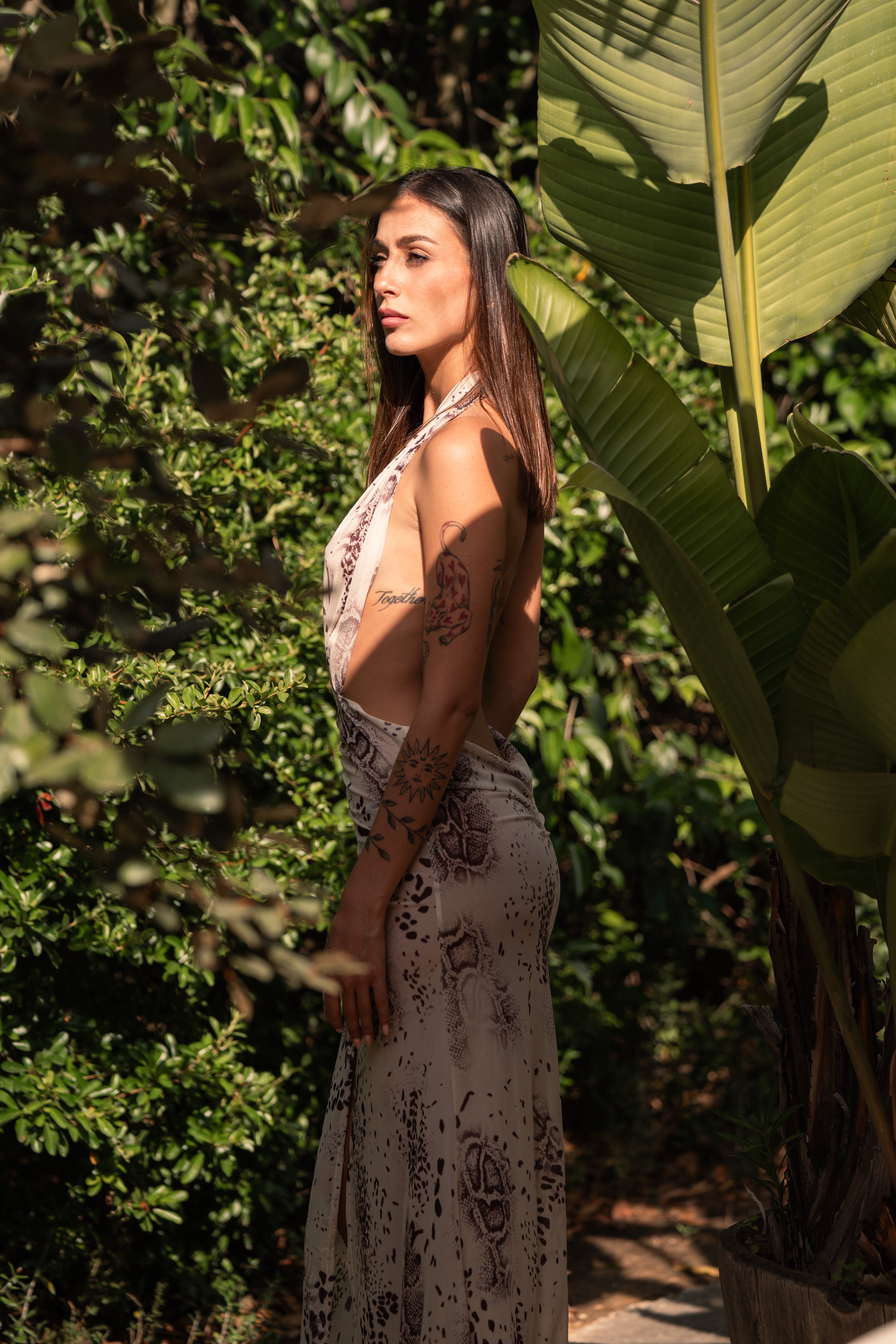 Dress anaconda